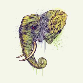 Elephant iPhone wallpaper