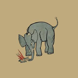 Elephant iPhone wallpaper