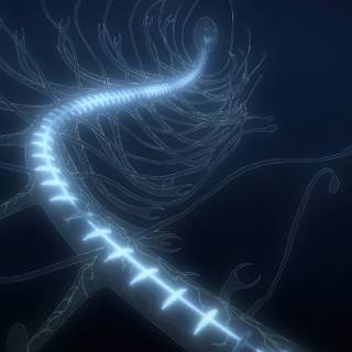 Titan Fundador wallpaper