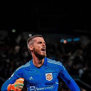 Rashford and De Gea wallpaper