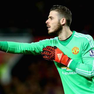 Rashford and De Gea wallpaper