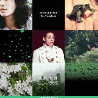 John Laurens aesthetic wallpaper