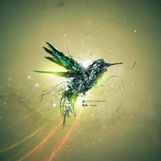 Green birds wallpaper
