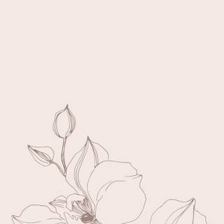 Spring neutral wallpaper