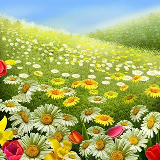 Springtime cartoon flowers wallpaper