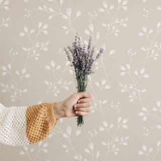 Spring neutral wallpaper