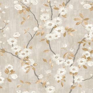 Spring neutral wallpaper