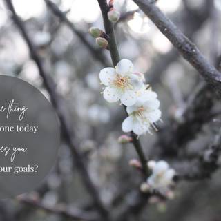 Spring motivational wallpaper