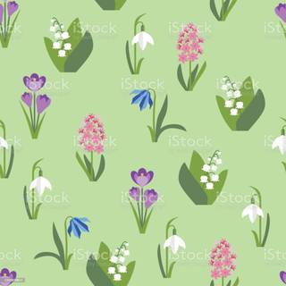 Spring flowers simple wallpaper
