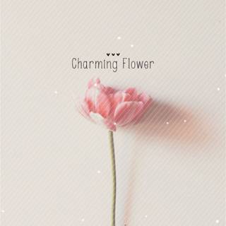 Spring flowers simple wallpaper