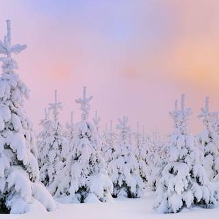 HD winter desktop wallpaper