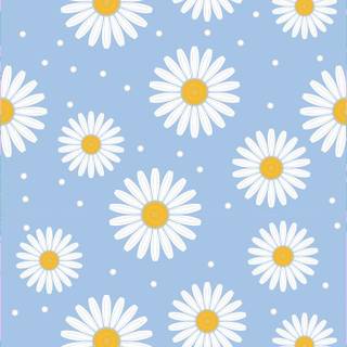 Daisy spring wallpaper