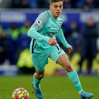 Leandro Trossard wallpaper