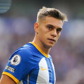 Leandro Trossard wallpaper