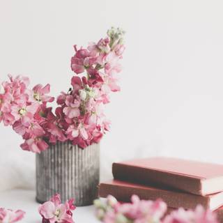 Books and spring wallpaper