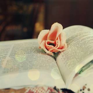 Books and spring wallpaper