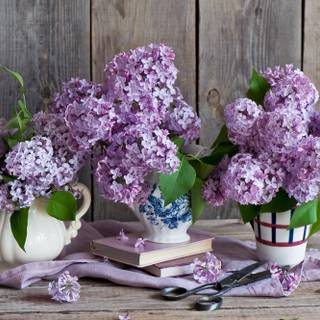 Books and spring wallpaper