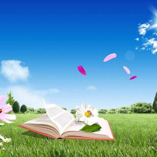 Books and spring wallpaper