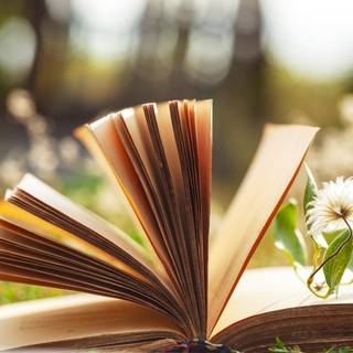 Books and spring wallpaper