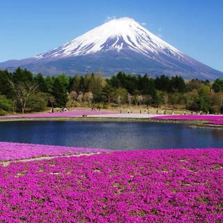 Mount Fuji Honshu Japan wallpaper