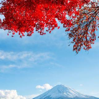 Mount Fuji Honshu Japan wallpaper