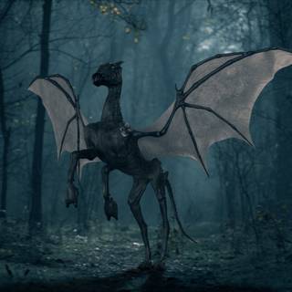 Thestral wallpaper