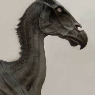 Thestral wallpaper