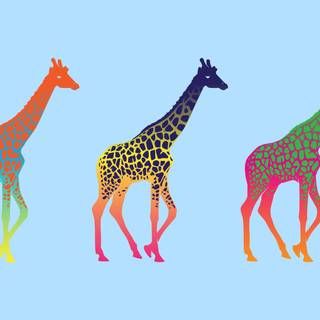 Giraffe cartoon wallpaper