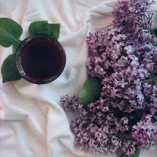 Coffee and spring wallpaper