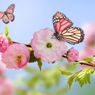 High res spring wallpaper