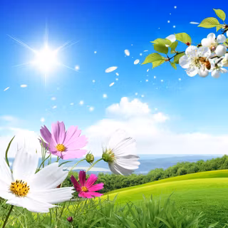 High res spring wallpaper