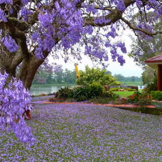 High res spring wallpaper