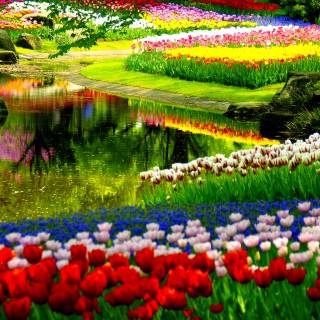 High res spring wallpaper