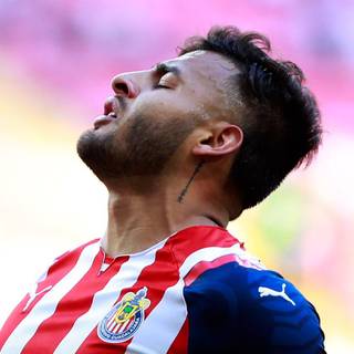 Alexis Vega wallpaper