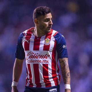 Alexis Vega wallpaper