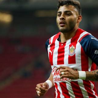 Alexis Vega wallpaper