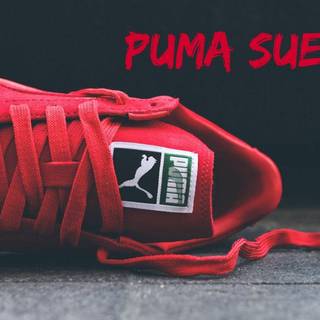 Puma Suede wallpaper