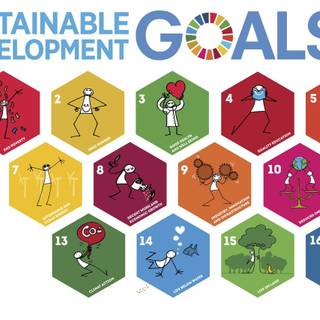 SDG wallpaper