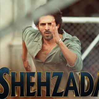 Shehzada wallpaper
