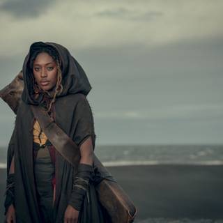 The Witcher: Blood Origin wallpaper