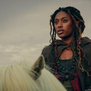 The Witcher: Blood Origin wallpaper