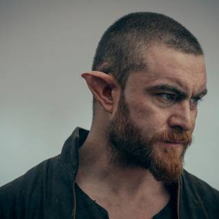 The Witcher: Blood Origin wallpaper