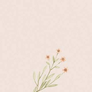 Boho flowers wallpaper