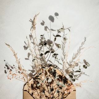 Boho flowers wallpaper