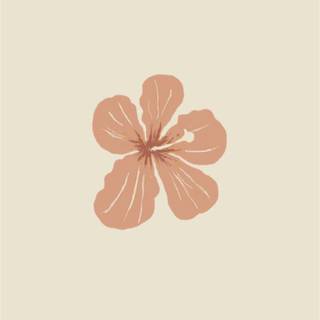 Boho flowers wallpaper