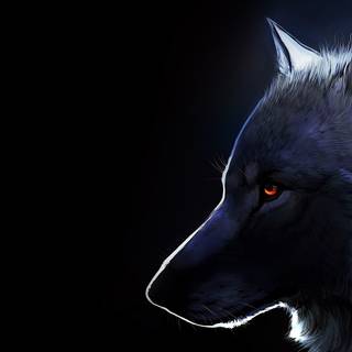 Horse and wolf wallpaper