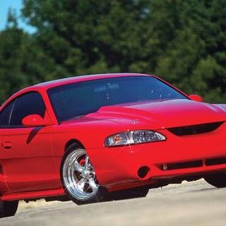 Mustang SN95 wallpaper