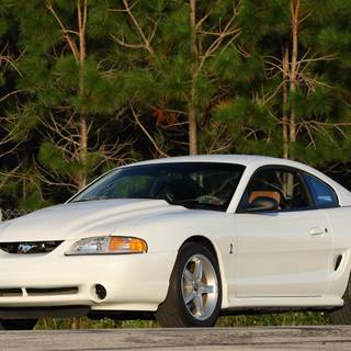 Mustang SN95 wallpaper