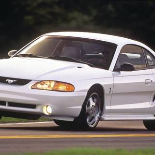 Mustang SN95 wallpaper