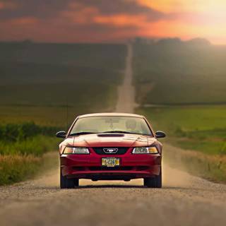 Mustang SN95 wallpaper